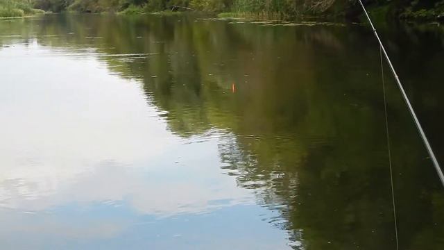 Вечерняя рыбалка на р.Оскол 14.07.2018г. смотреть онлайн