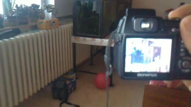 Olympus SP 500 uz смотреть онлайн