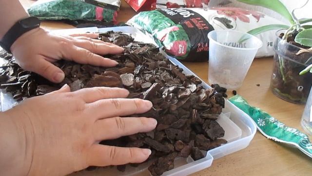 Мега обзор субстратов для орхидей (часть 1) смотреть онлайн