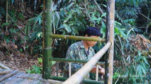 15 Days Build a Bamboo House in the Green Forest, Building a New Life From Scratch - Ep.2