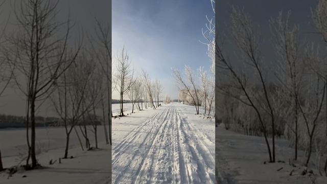 Красивой зимы много не бывает☃️ смотреть онлайн