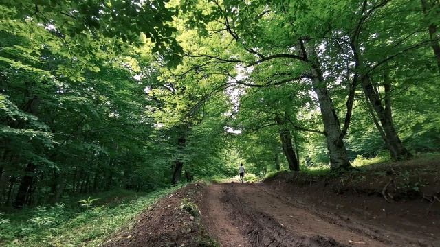 Hiking In Dilijan National Park | Northern Armenia