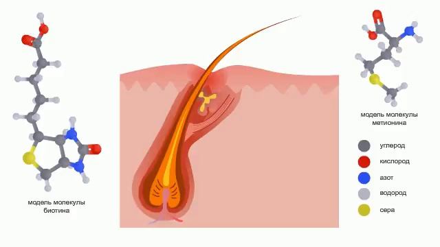 Вітаміни для волосся.Vitamins for hair. смотреть онлайн