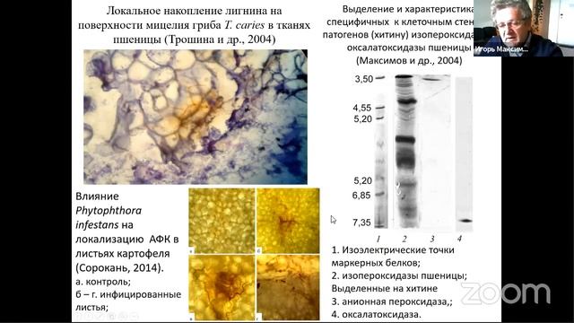 PLAMIC 2020 Лекция 1 смотреть онлайн