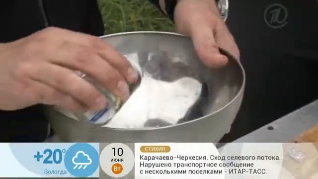форель по быстрому смотреть онлайн