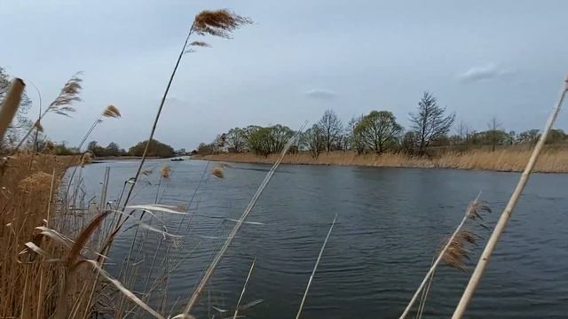 Лодка Обь- 1, поход по реке Цна из Тамбова в Котовск. смотреть онлайн