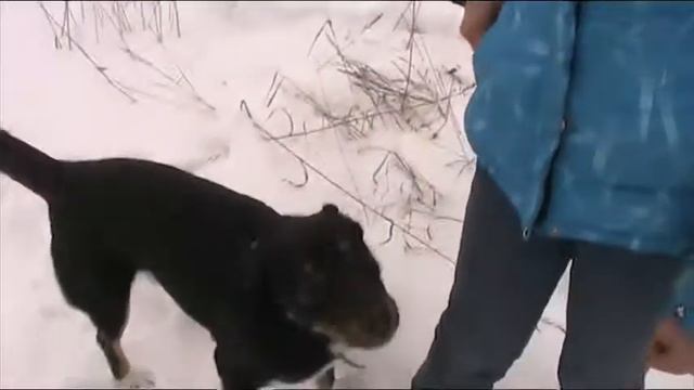 Эльза и Агат смотреть онлайн