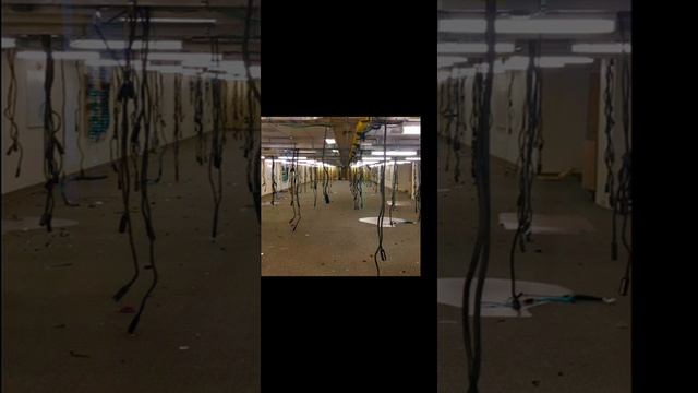 how to install gorebox #gorebox #ragdolls #mediafire #all #f2gaming #f2g смотреть онлайн