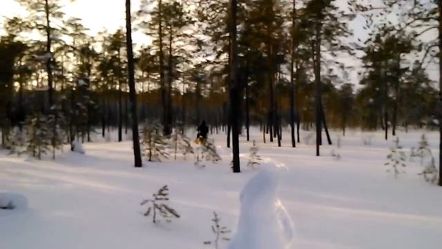 Мухтар-15-ЛУЧШИЙ мотобуксировщик смотреть онлайн