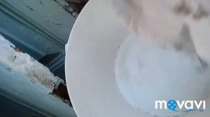 Удаление жирных пятен с одежды. С помощью vanish.