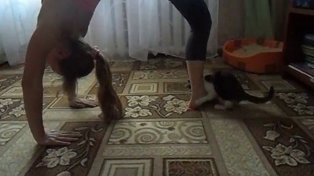 Зарядка с кошкой Лизой смотреть онлайн