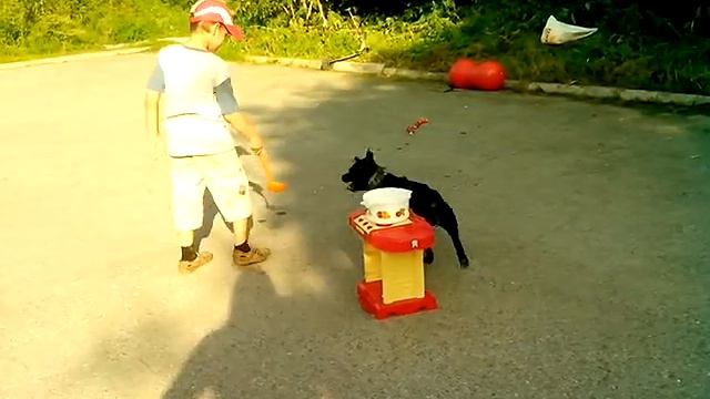 Трюки собаки с ребенком смотреть онлайн