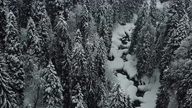 Winter In Auadkhara, Abkhazia | Mountains Of Abkhazia