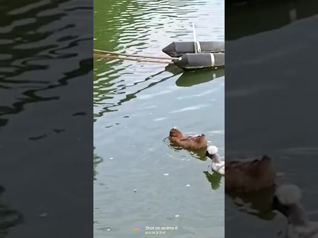 23 августа 2022 г. смотреть онлайн