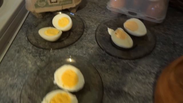 Чем отличаются домашние яйца от магазинных? смотреть онлайн