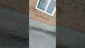 Как легко удалить старую краску с забора? Показываю. Показываю двор.