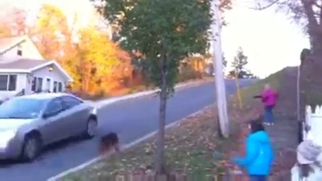Gravity Spins With kids смотреть онлайн