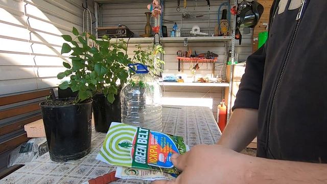 Сборка бассейна Intex Ultra XTR 26356. Дачные истории #45 с Александром Чекмаревым. смотреть онлайн