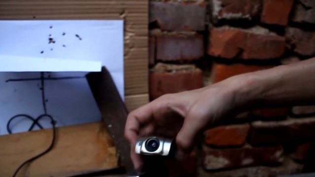 Стреляем по вебкамерам :3 смотреть онлайн