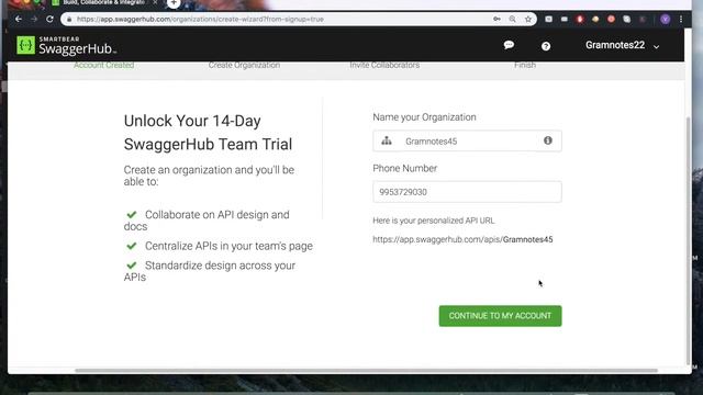 Signed and Setup in SwaggerHub смотреть онлайн