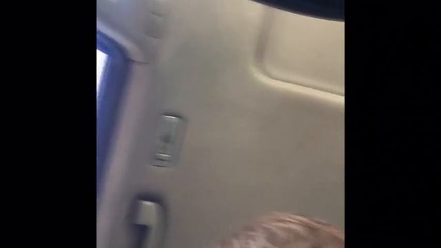 Поездка на дачу с котом смотреть онлайн