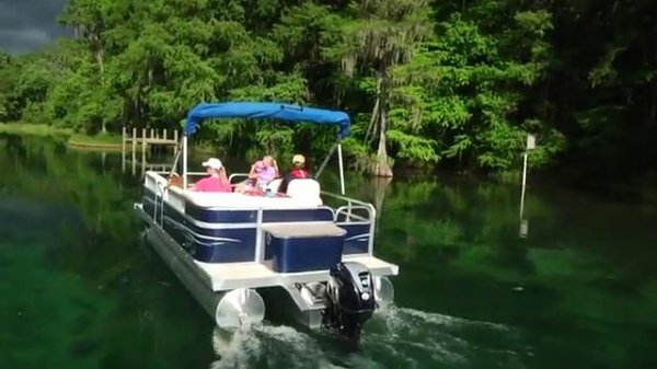 Tohatsu Marine Outboards - MFS40 and MFS50