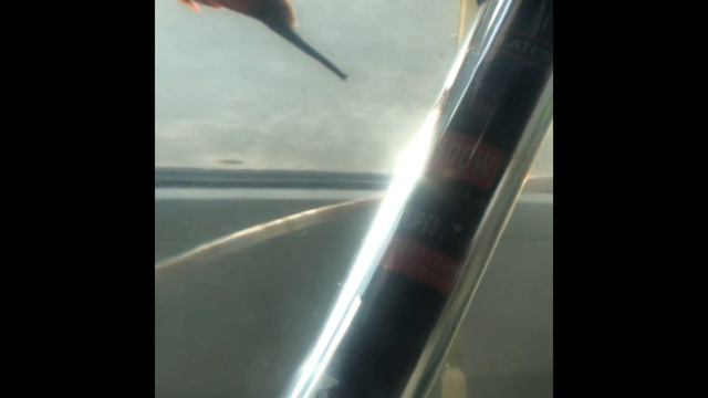 Критическое состояние ....😕 смотреть онлайн