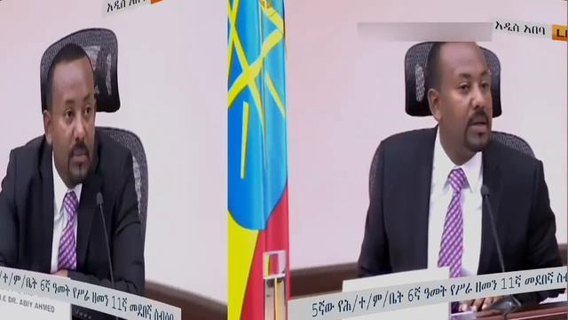 ጠ/ሚ ዐቢይ ለፓርላማው ምን አሉ ?