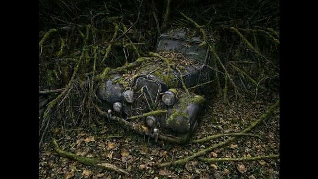 Не бросайте друзей! смотреть онлайн
