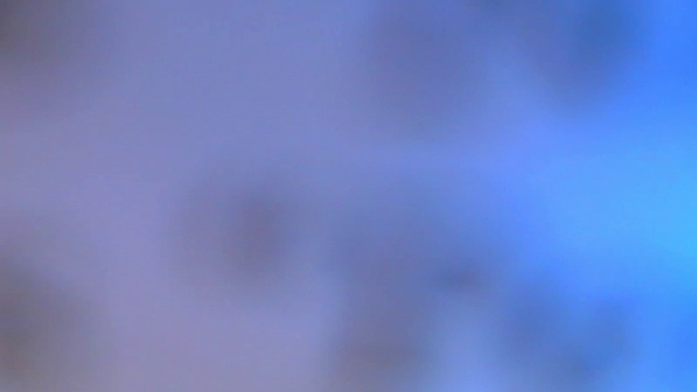 NPCRIZ Biznis 2013.06.03