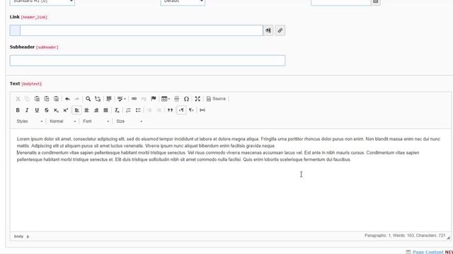 Rich Text Editor | Typo3 v10 Tutorial смотреть онлайн