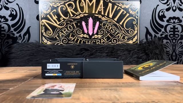 Oracle Look-Through & Card Pull - A Compendium of Witches by Nataša Ilinčić ✨ смотреть онлайн