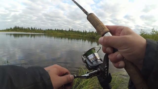 Ловил щуку, а нашёл ... Рыбалка на севере Стофети и компания 2017 Fishing in the north of Russia смотреть онлайн