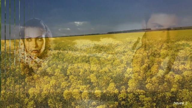жизнь прожить не поле перейти смотреть онлайн