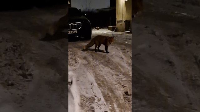 20231213_013850.mp4 смотреть онлайн