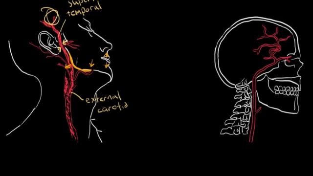 Temporal arteritis | Circulatory System and Disease | NCLEX-RN | Khan Academy смотреть онлайн