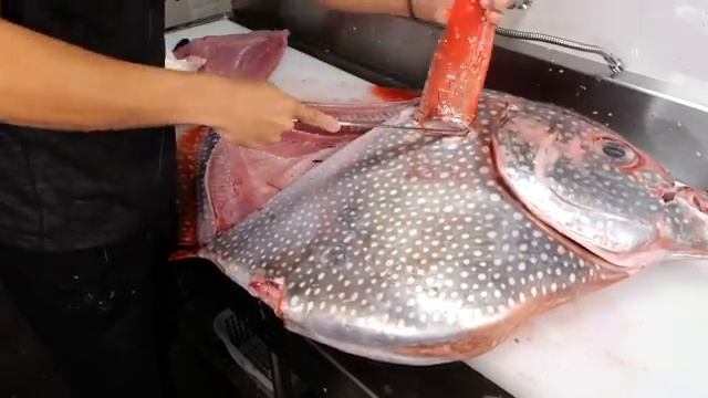 40kg越えのアカマンボウを解体したら家が大惨事に。。。 смотреть онлайн