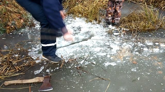 Установка проходного капкана на бобра смотреть онлайн