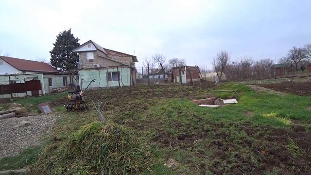 Пьем овсяное молоко, едим лепешки смотреть онлайн