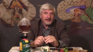 С. Савельев. Какую пищу любит мозг.mp4