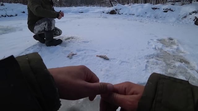 МЕСТНЫЕ ТУТ ЛОВЯТ ВЕДРАМИ, ЗИМОВАЛЬНЫЙ ОМУТ НА РУЧЬЕ !! Рыбалка на безмотылку, окунь, елец. смотреть онлайн