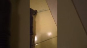 Быстрое восстановление затирки плитки своими руками! сможет каждый!