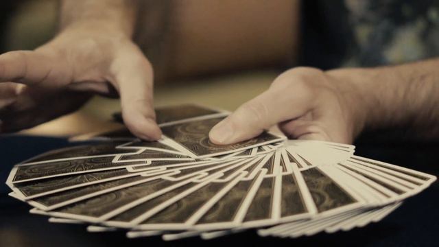 Citizens Playing Cards by Theory 11 Deck Review смотреть онлайн
