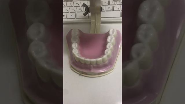 Гигиенический Индекс Федорова-Володкиной смотреть онлайн