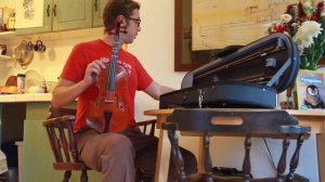 Yamaha v5SA Violin