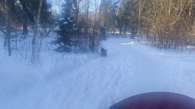 Трямский влог: февральские морозы, обморожения смотреть онлайн