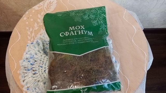 Сфагнум - доктор, от греческого "сфагнос" губка. смотреть онлайн