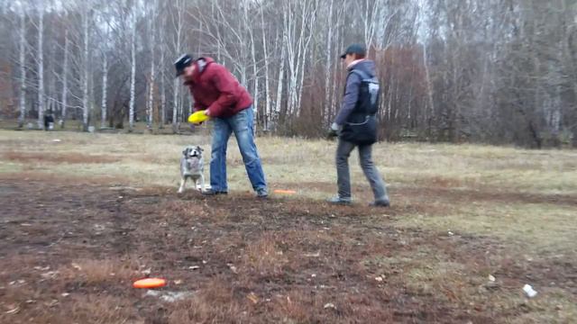 Эри Паша 6 смотреть онлайн