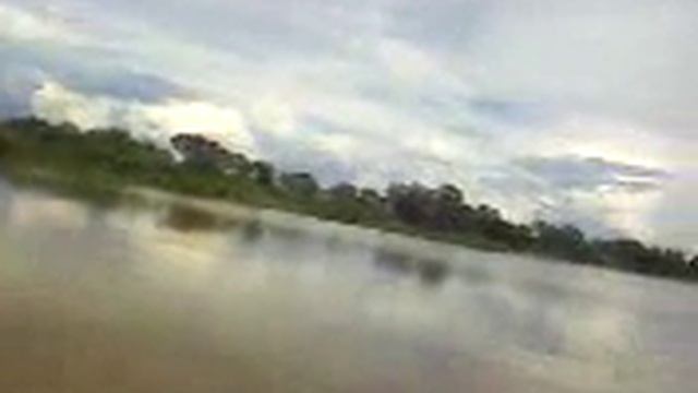 Minuto no pantanal - Parte 3 смотреть онлайн