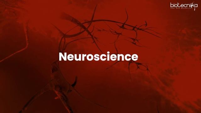 Importance of Coding For Biologists - Why You Must Learn Coding - Solid Reasons! смотреть онлайн